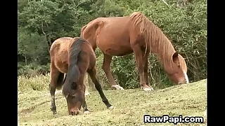 2443 stud porn videos